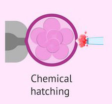 chemical-hatching