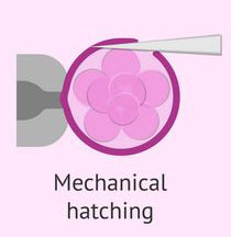 mechanical hatching