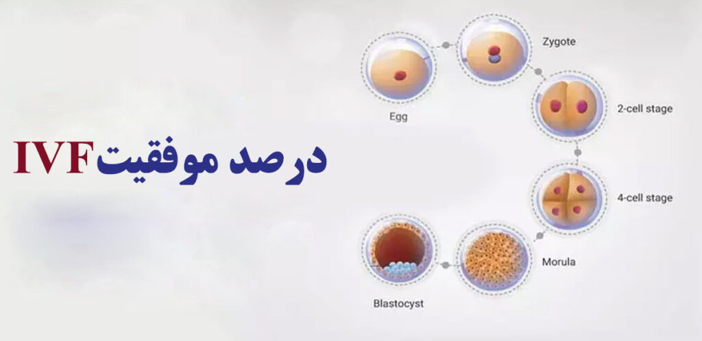 موفقیت IVF
