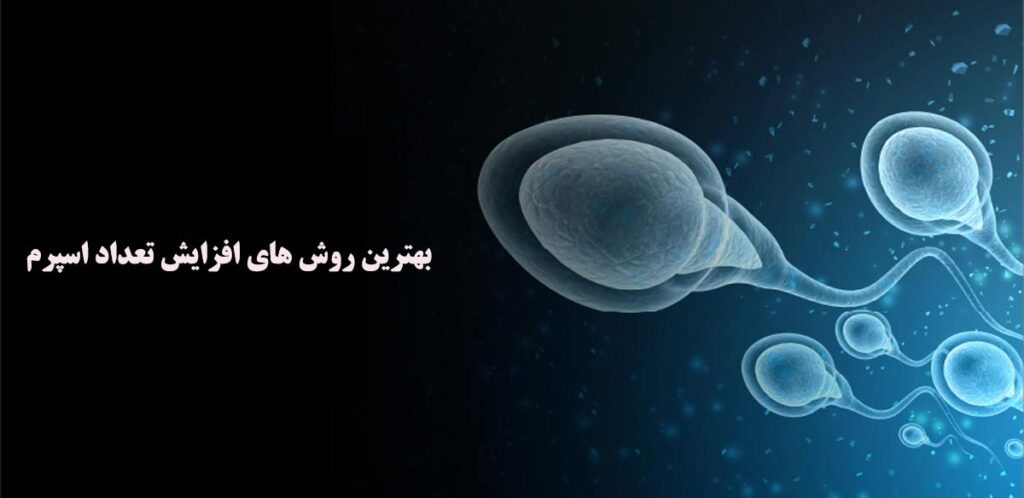 اسپرم