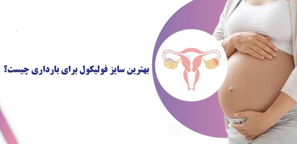 سایز فولیکول