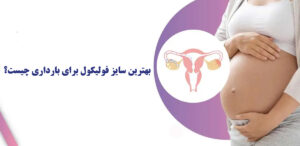 سایز فولیکول