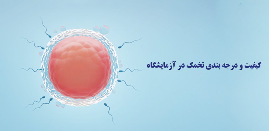 کیفیت تخمک