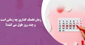 تخمک گذاری