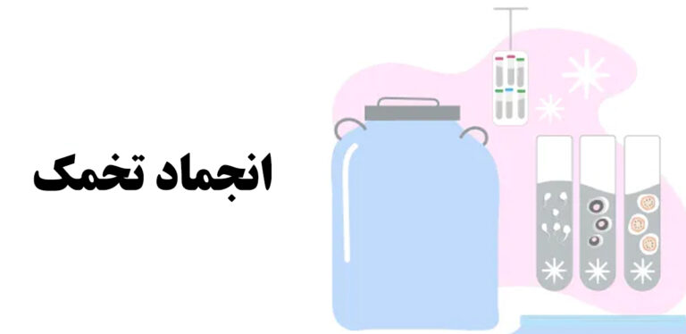 انجماد تخمک