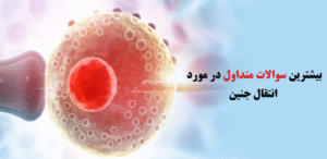 انتقال جنین