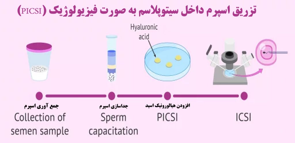 سیتوپلاسم