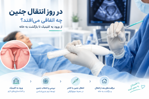 روز انتقال جنین
