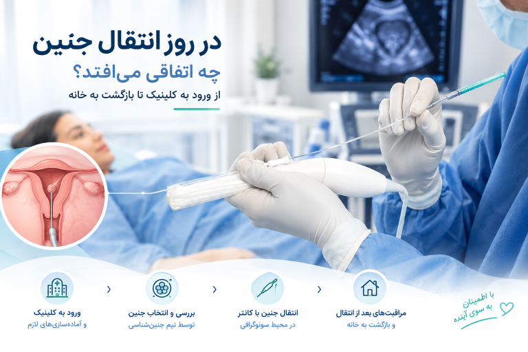 روز انتقال جنین
